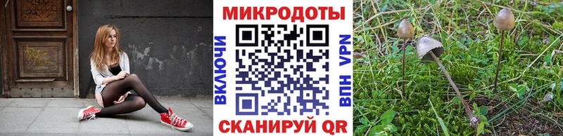 shop состав Полесск Псилоцибиновые грибы GOLDEN TEACHER где найти наркотики